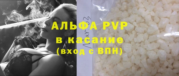 ECSTASY Ельня