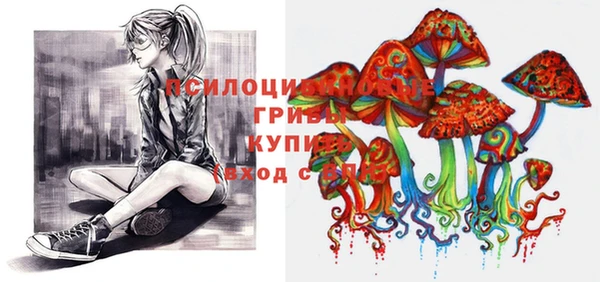 2c-b Елабуга