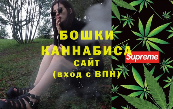 ECSTASY Ельня