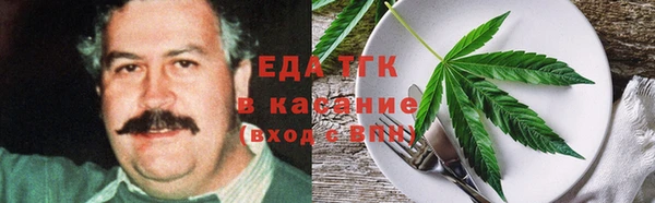 ECSTASY Ельня