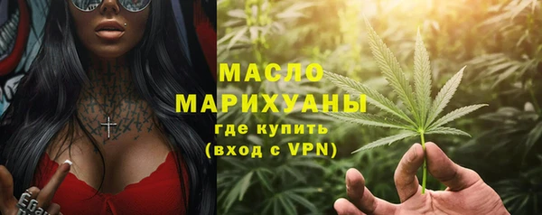 ECSTASY Ельня