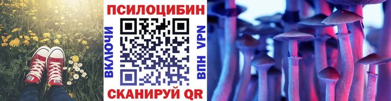 Псилоцибиновые грибы мицелий  omg как войти  Зеленоградск 